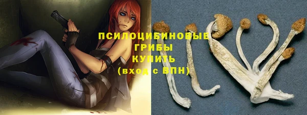 спайс Алексин