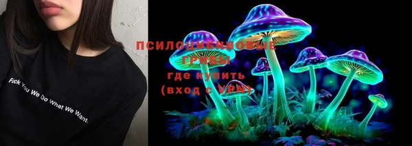 спайс Алексин
