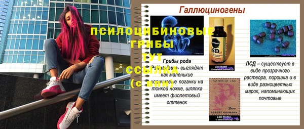 спайс Алексин