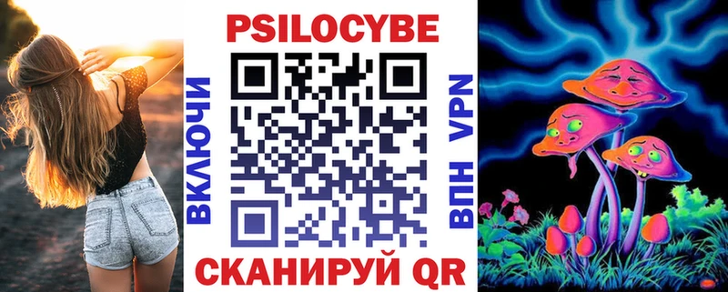 Псилоцибиновые грибы Psilocybe Берёзовский